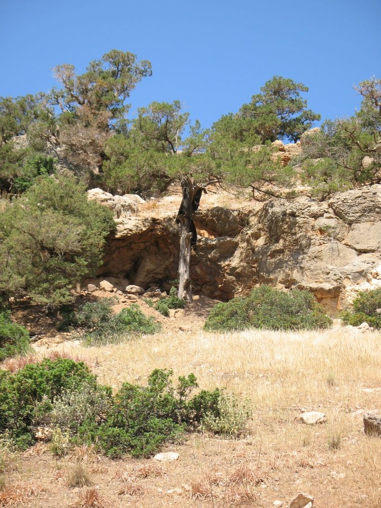 L'abri préhistorique d'Abou Tamsa, Cyrénaïque 