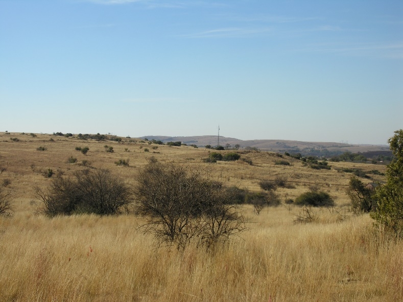 Panoramique de Bolt’s Farm. Vue du versant de la colline où s’est développé le réseau karstique. © Mission Paléoanthropologique Franco-Sud-Africaine & IRL HOMEN CNRS-NRF. Cl. Dominique Gommery