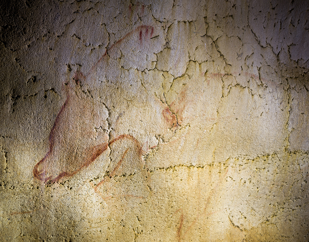 Chauvet Cave Arch Ologie Culture Fr   Vignette2 0 