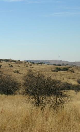 Panoramique de Bolt’s Farm. Vue du versant de la colline où s’est développé le réseau karstique. © Mission Paléoanthropologique Franco-Sud-Africaine & IRL HOMEN CNRS-NRF. Cl. Dominique Gommery
