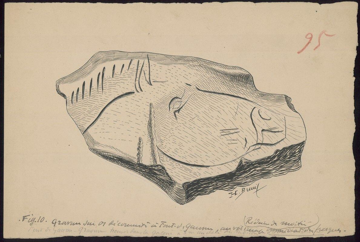 dessin tête de cheval gravée