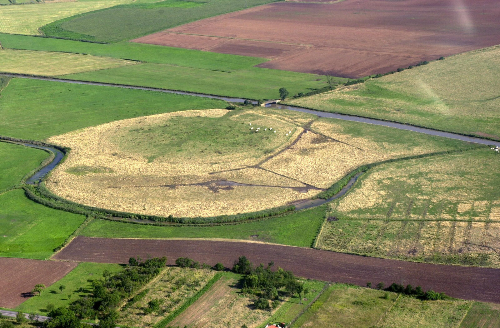 Le site d’ateliers de sauniers du premier âge du Fer du Châtry à Moyenvic (Moselle).