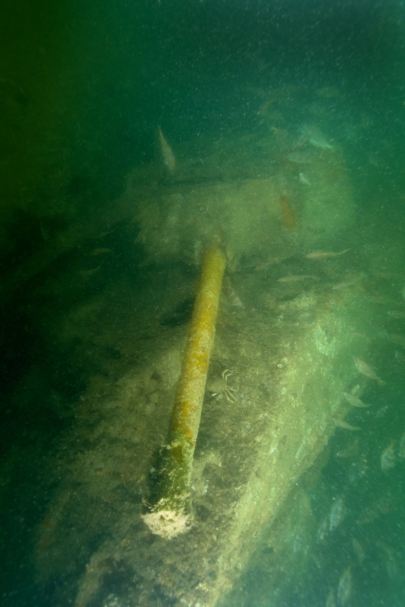 Char amphibie perdu au large de Sword Beach