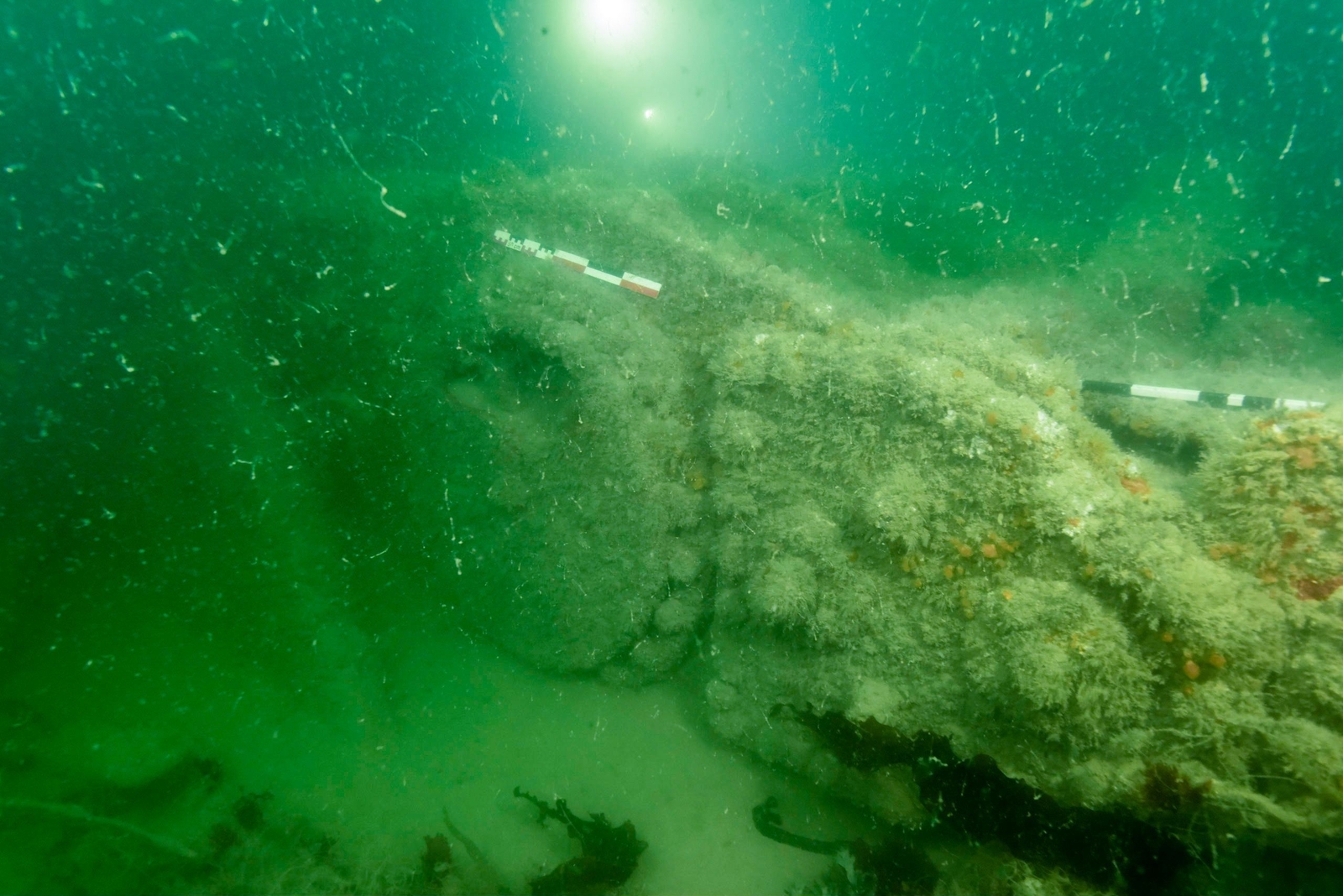 Bloc moteur de l’Empire Roseberry