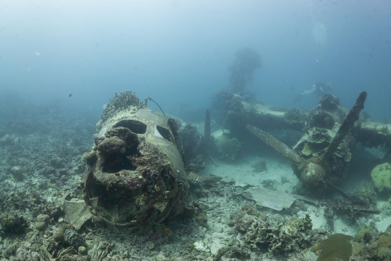 Épave d'avion au fond de Truck Lagoon
