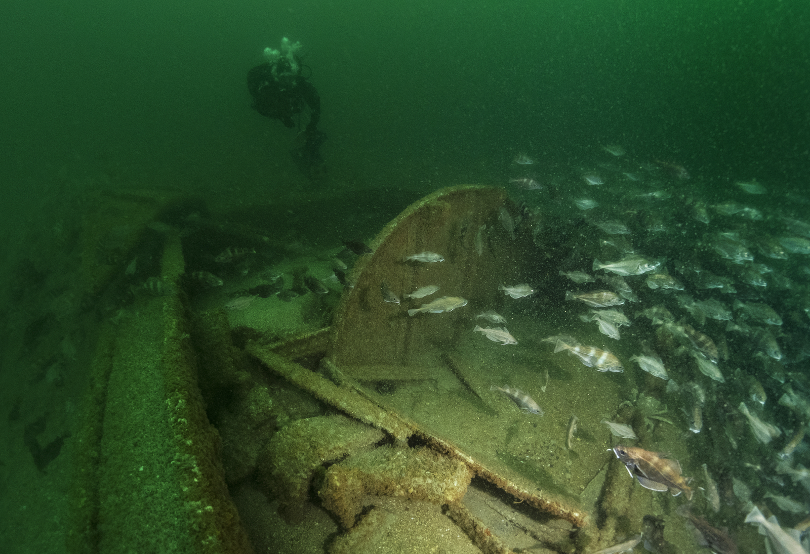 Épave d’une barge citerne coulée au large des plages du Débarquement