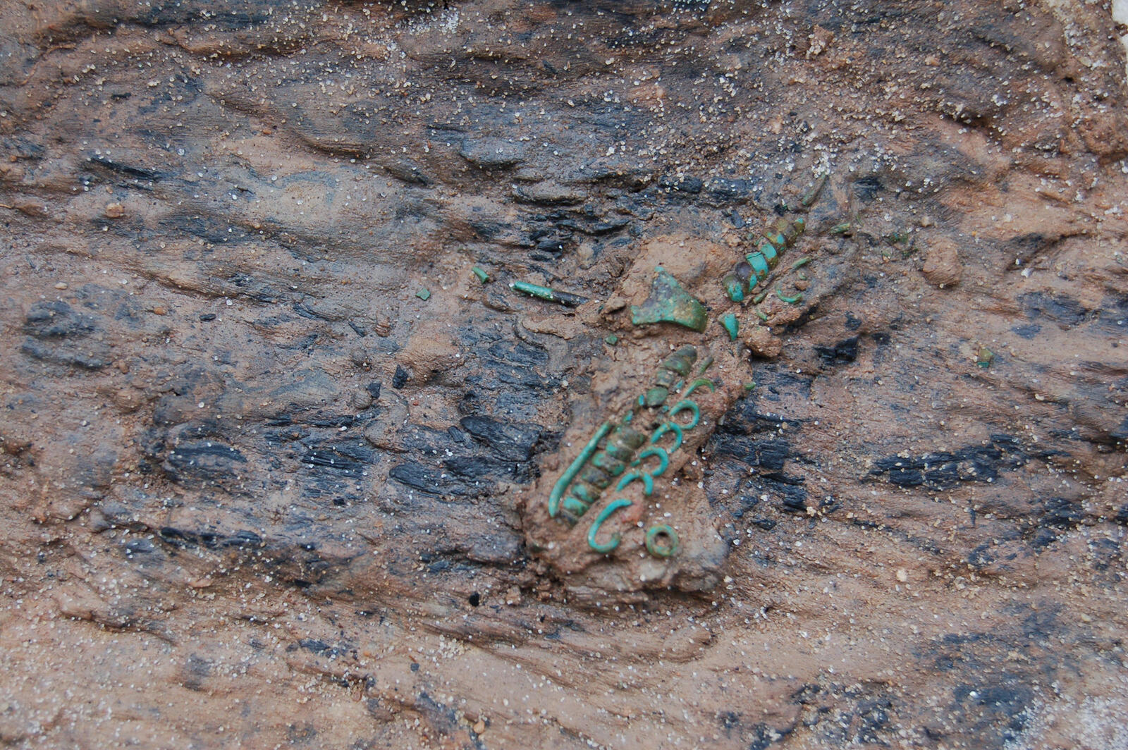 Fibule en bronze de type en arbalète à fausse corde et bouclettes de la nécropole de l’âge du Fer des Grands Prés à Marsal (Moselle).