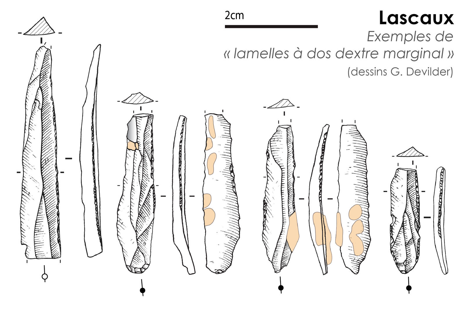 Lamelles à dos dextre marginal