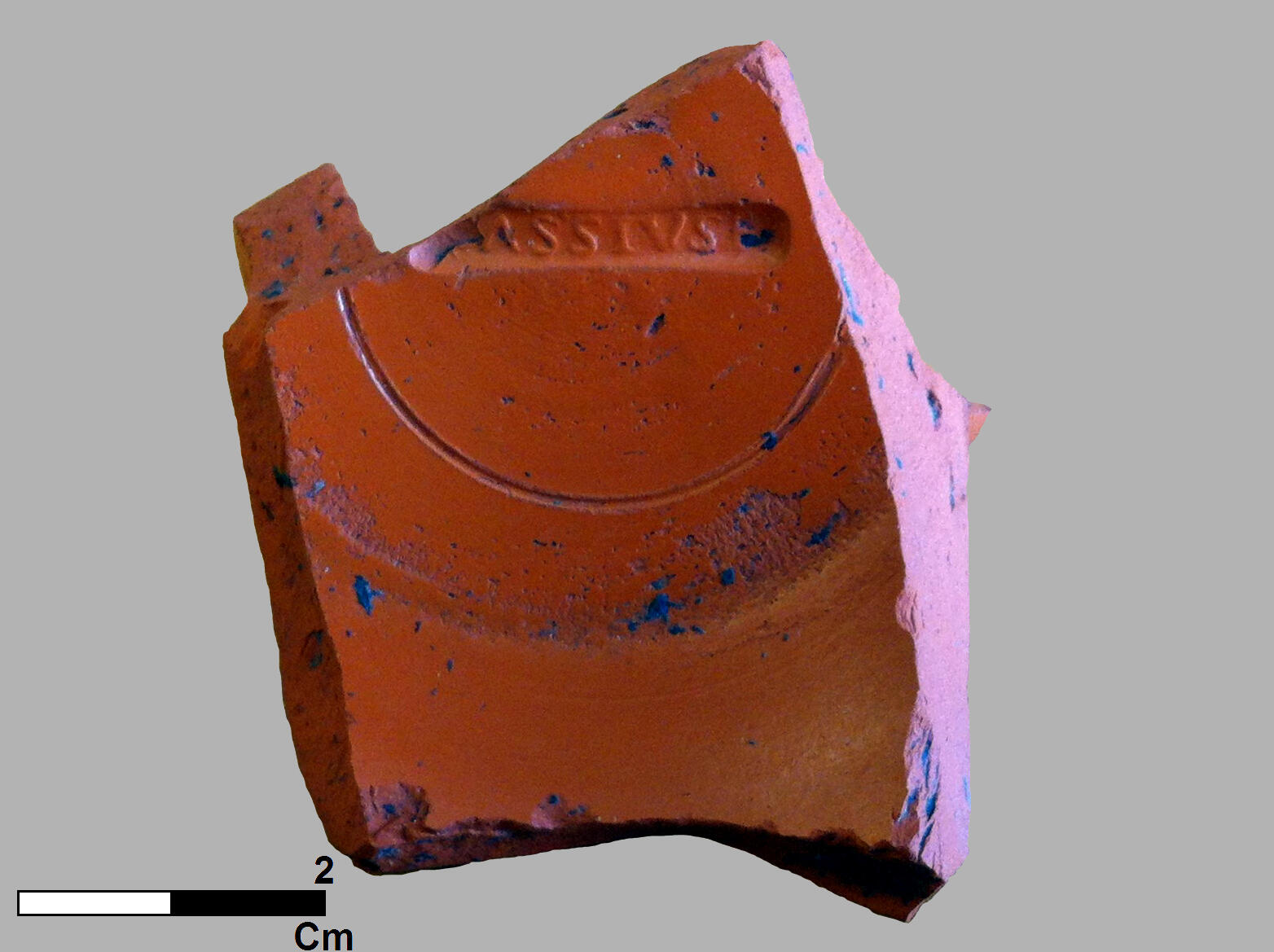Fragment de céramique sigillée au nom du potier Cassius découvert au Pransieu de Marsal (Moselle)