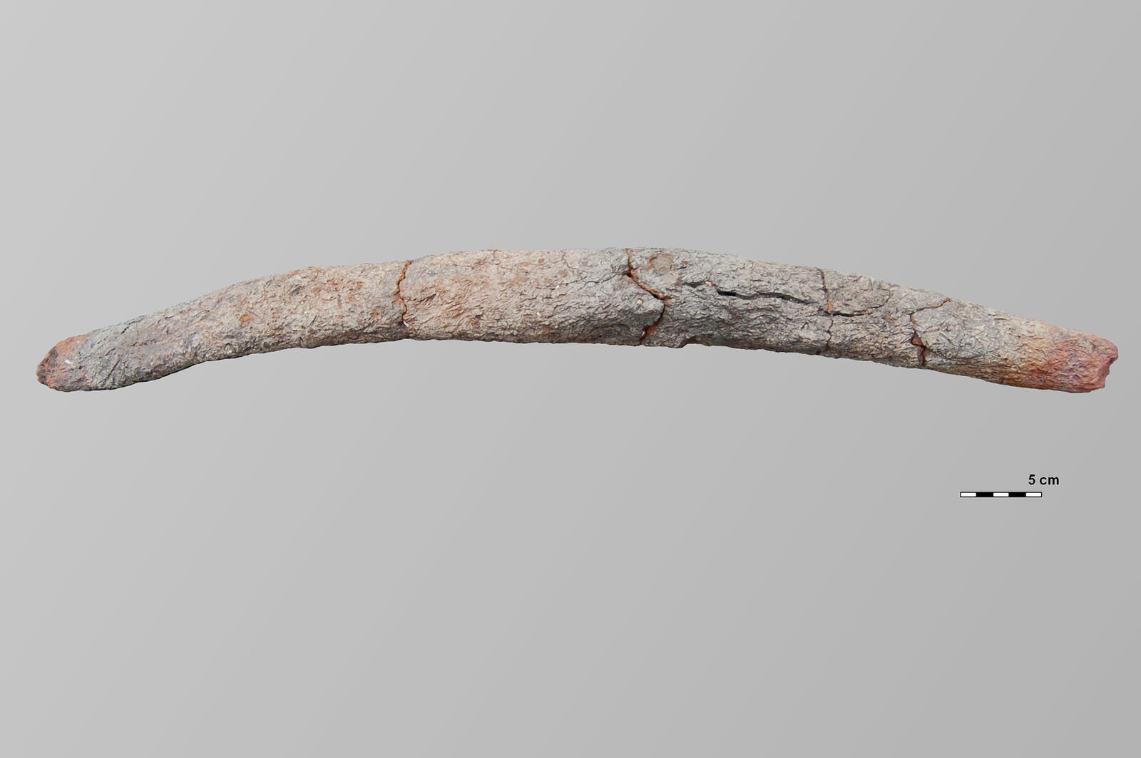 Barre de grille de fourneau à sel en terre cuite provenant du site d’atelier de sauniers du premier âge du Fer du Pransieu à Marsal (Moselle)