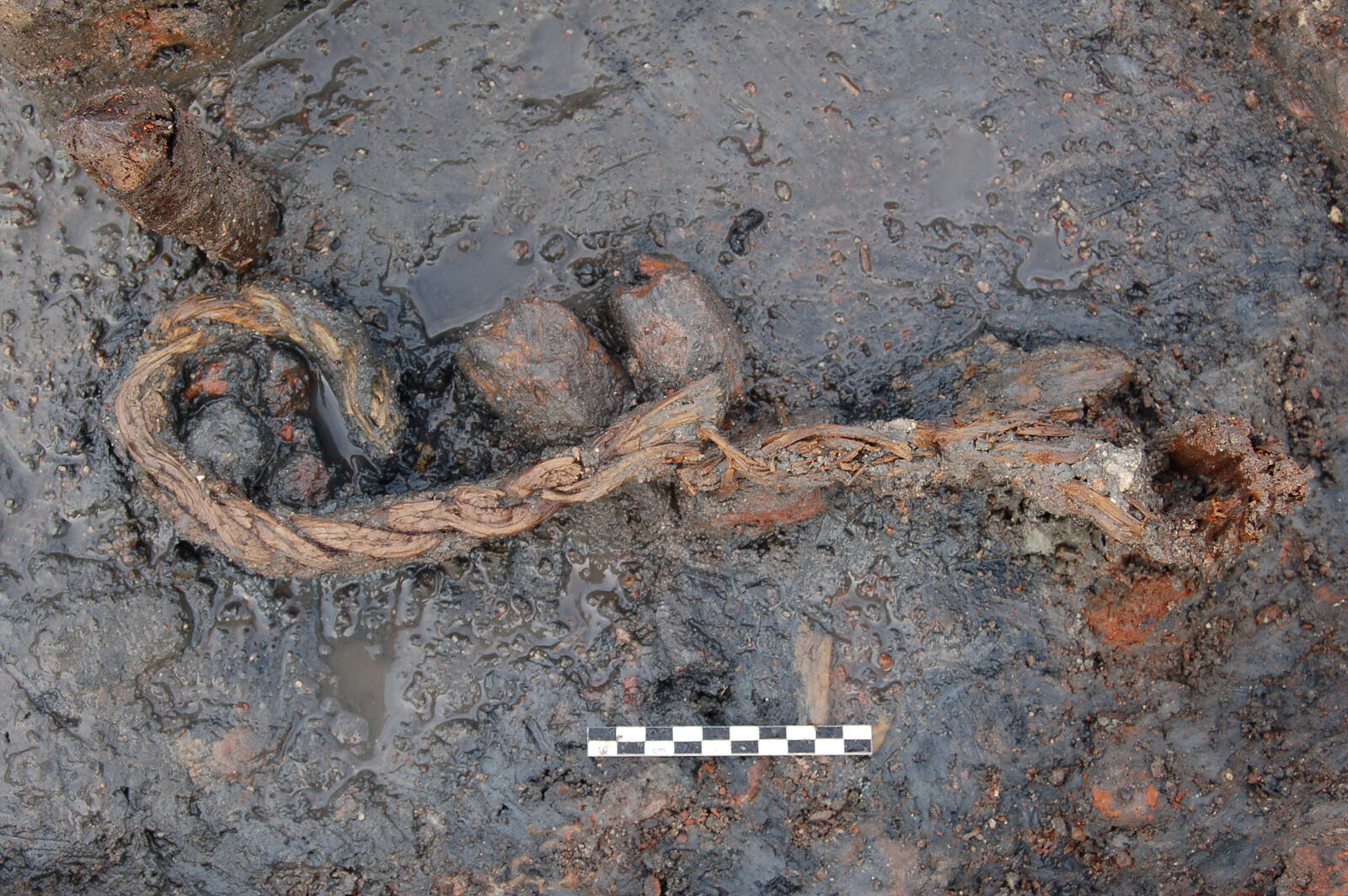 Fragment de corde en matière végétale découverte dans le site d’atelier de sauniers du premier âge du Fer de de la Digue à Marsal (Moselle)