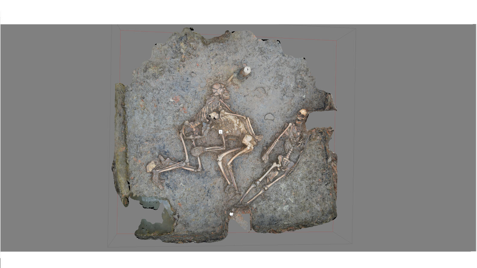 Corps humains du second âge du Fer rejetés dans un silo du site de la Digue à Marsal (Moselle)