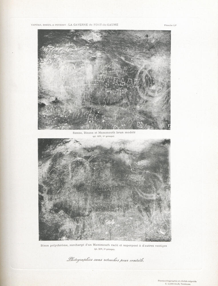 Figures rennes, bisons, mammouths