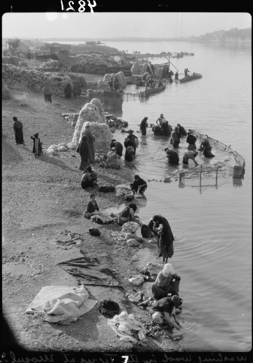 Lavage de la laine sur le Tigre, à Mossoul, vers 1932