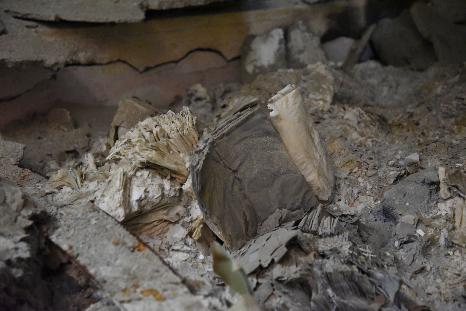 مكتبة المتحف الحضاري في الموصل، ٢٠١٧