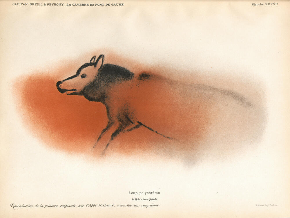 Loup polychrome