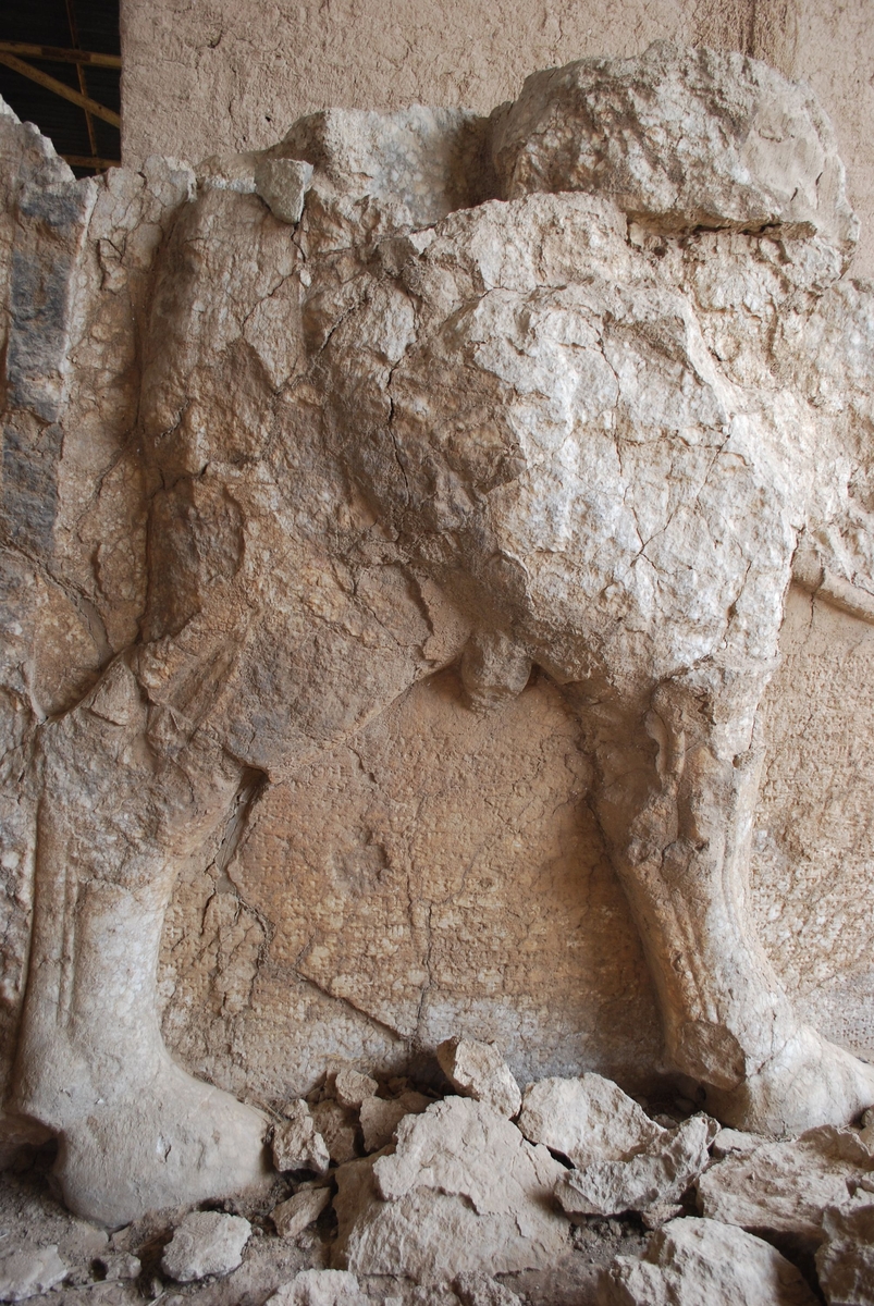 Taureau androcéphale ailé, Ninive, 2008