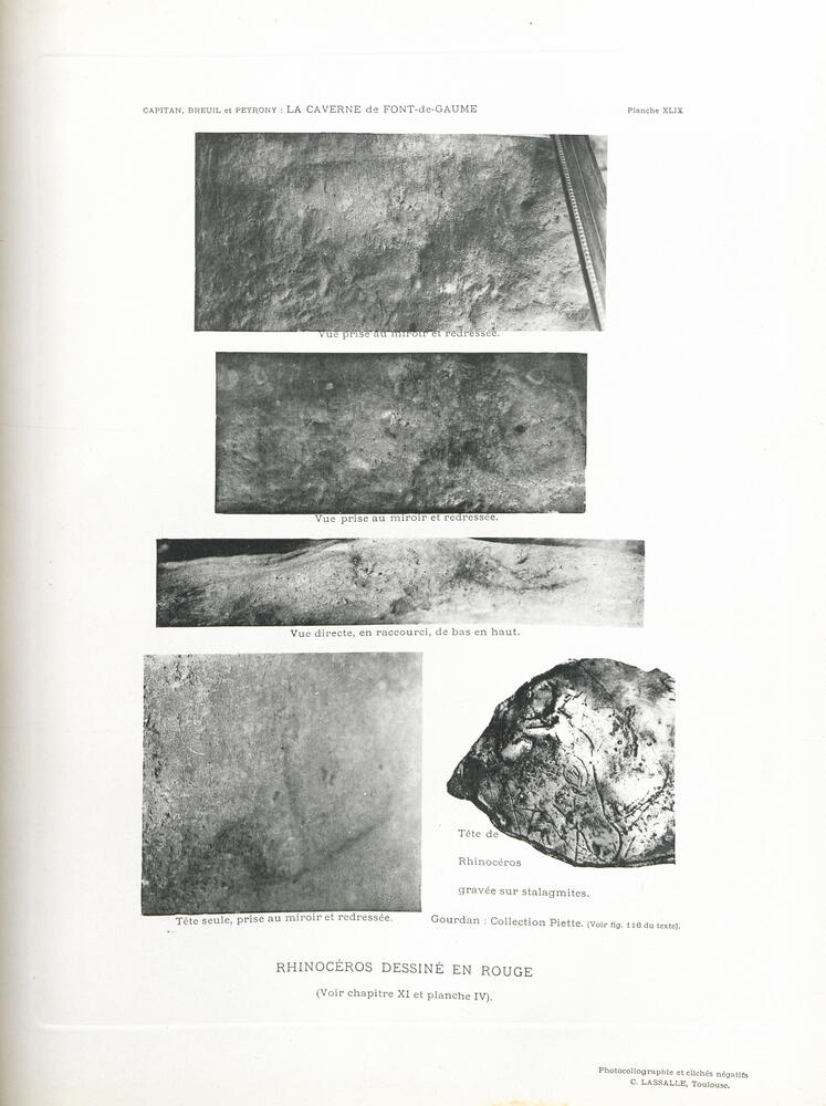 rhinocéros en traits rouges