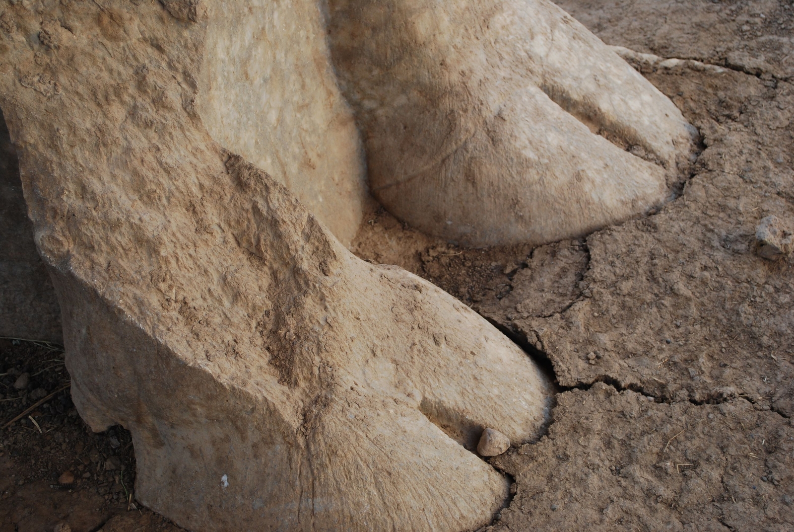 Taureau androcéphale ailé, Ninive, 2008