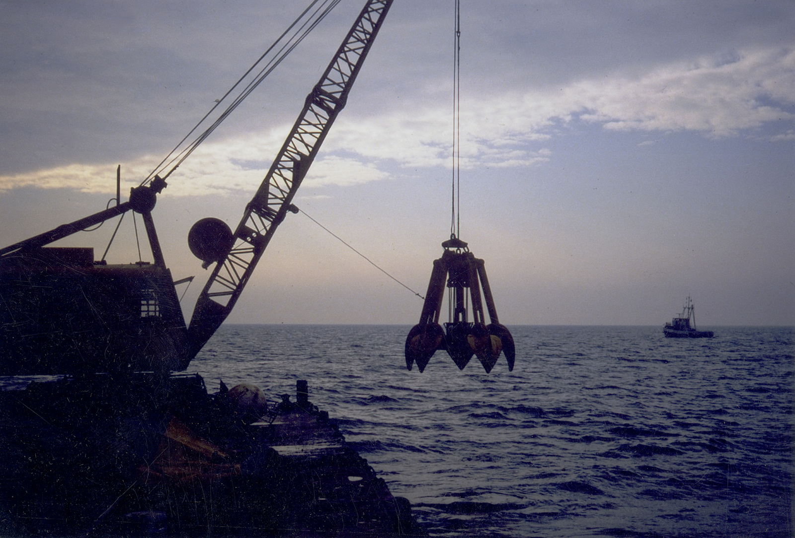 Crapaud, sur le ponton BK de l’entreprise Lemonchois