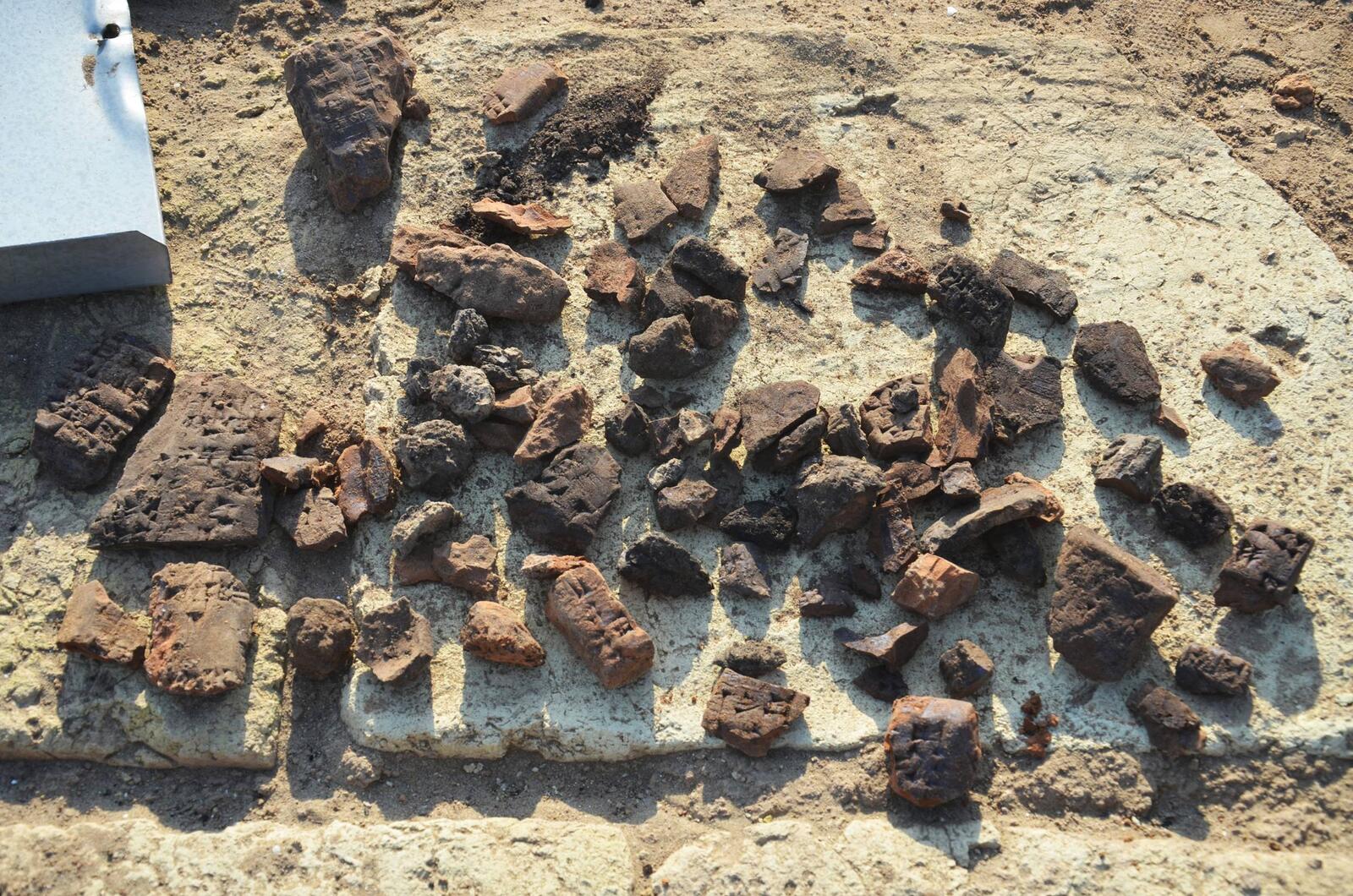 Larsa, B49, lot de tablettes fraichement sorti de la salle d’archive 1518 (2021).