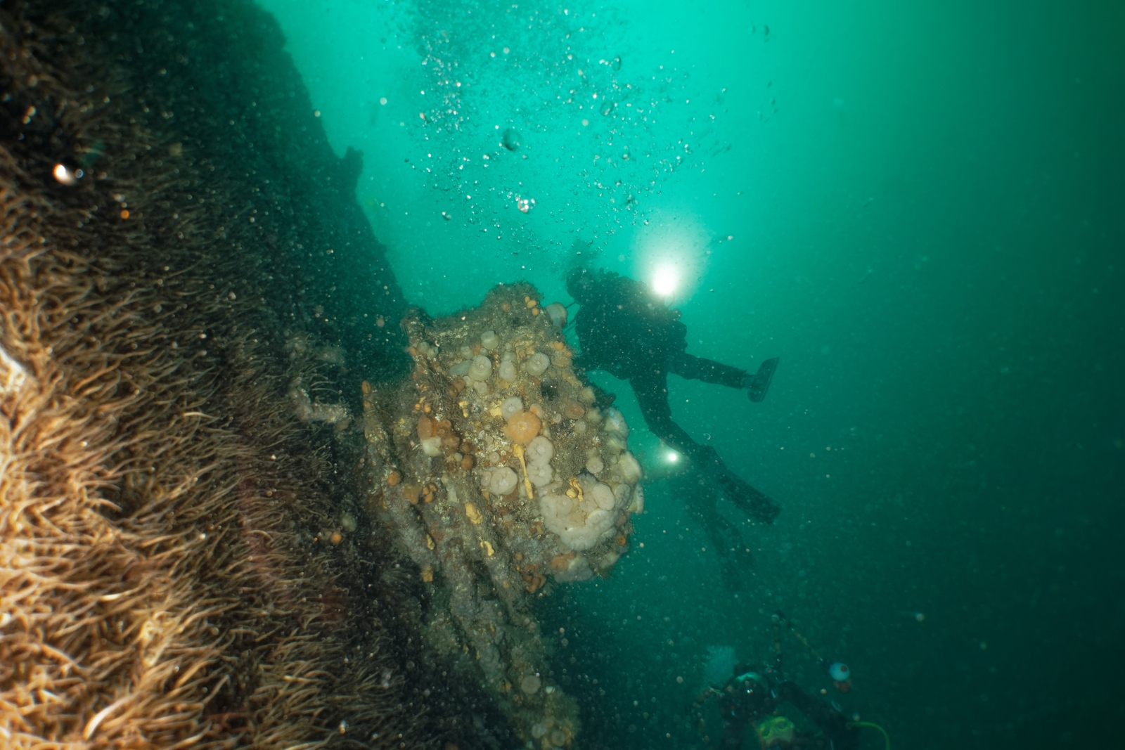 Plongée sur l’épave du croiseur SMS Köln à Scapa Flow