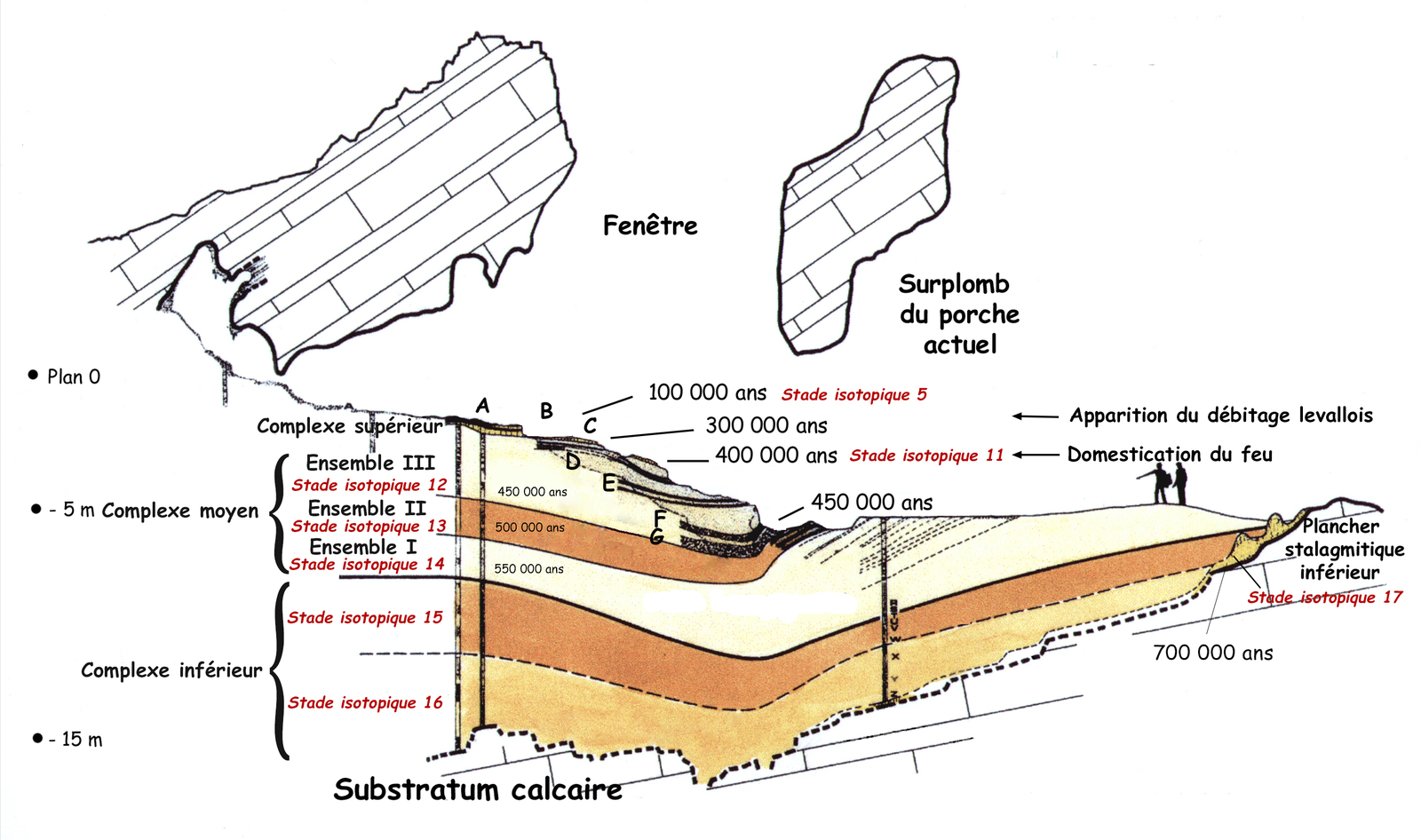 Coupe stratigraphique synthétique longitudinale du remplissage de la Caune de l’Arago à partir de la fouille et des carottages. L'Homme de Tautavel.