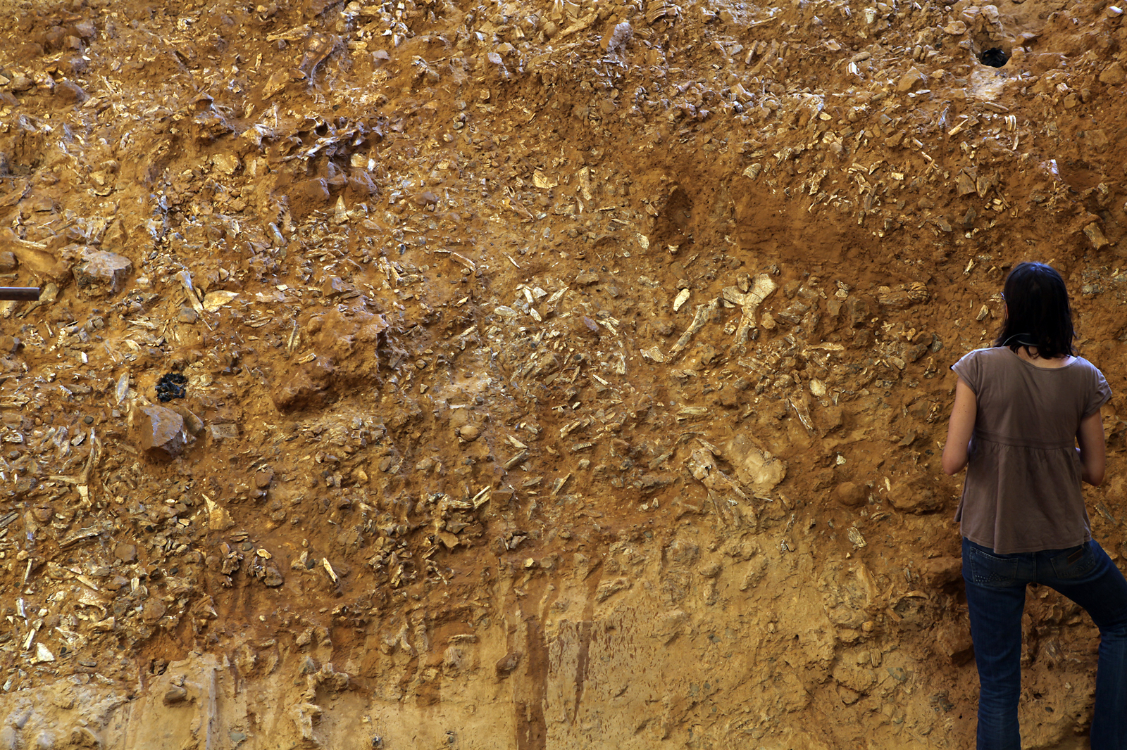 Vue Générale du Sol Q fouille 2013