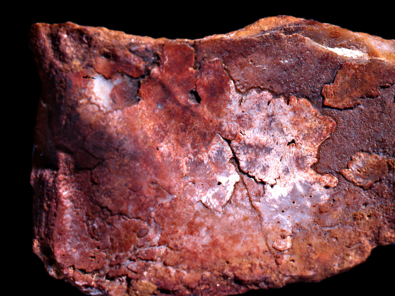 Photographie d'un élément lithique portant des traces de pigments ou de grattages