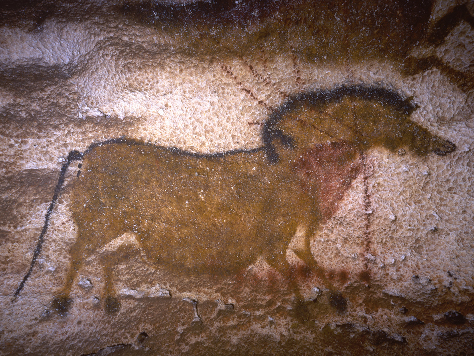 Photographie d'un cheval peint sur la paroi de la grotte