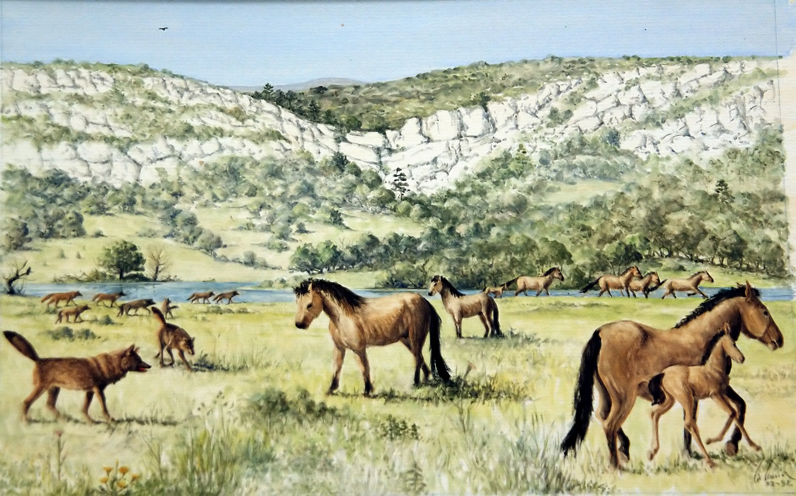 Chevaux et loups dans la plaine Dessin E. Guerrier.