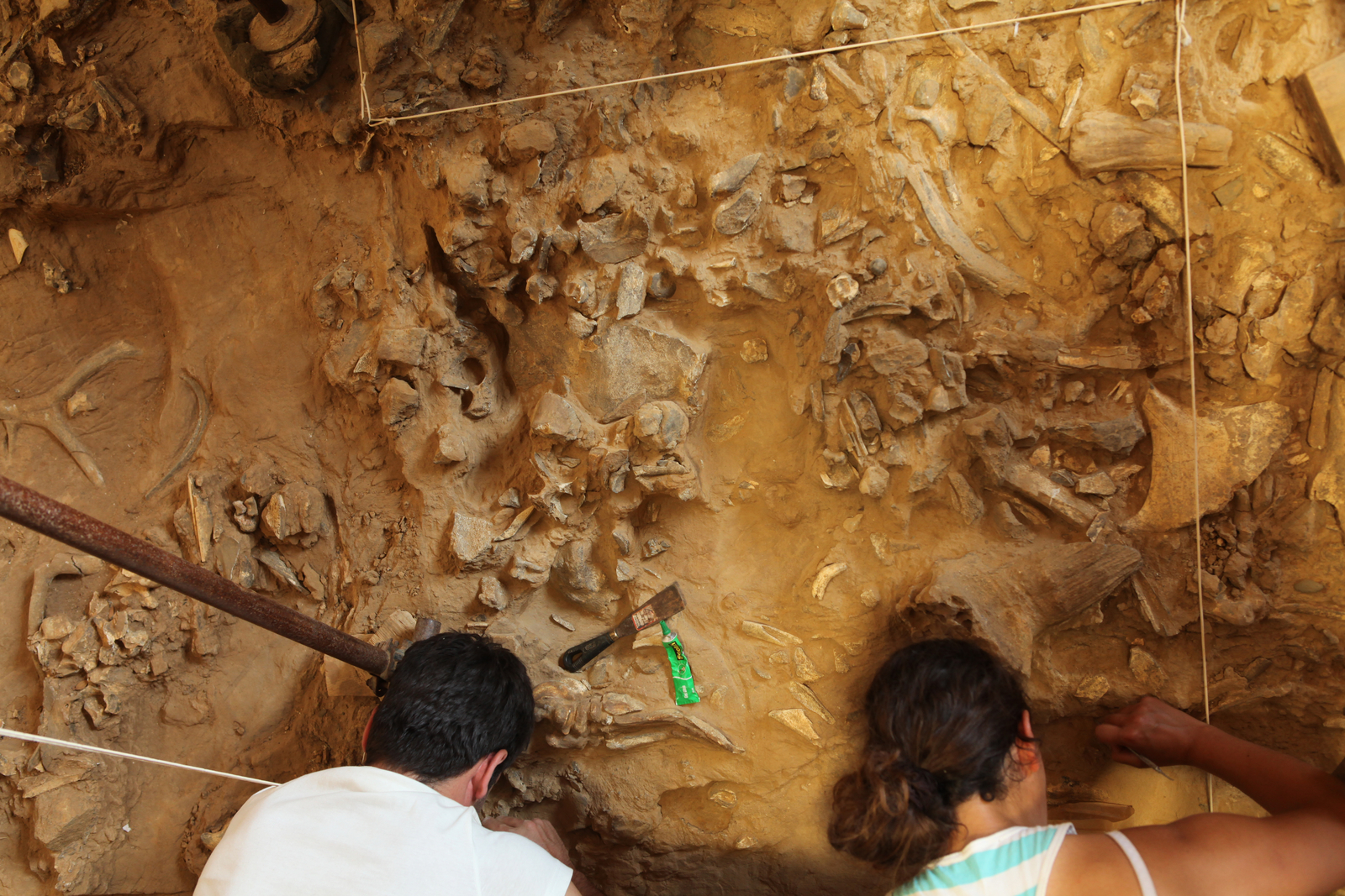 Vue d’un carré de fouille. L'Homme de Tautavel.