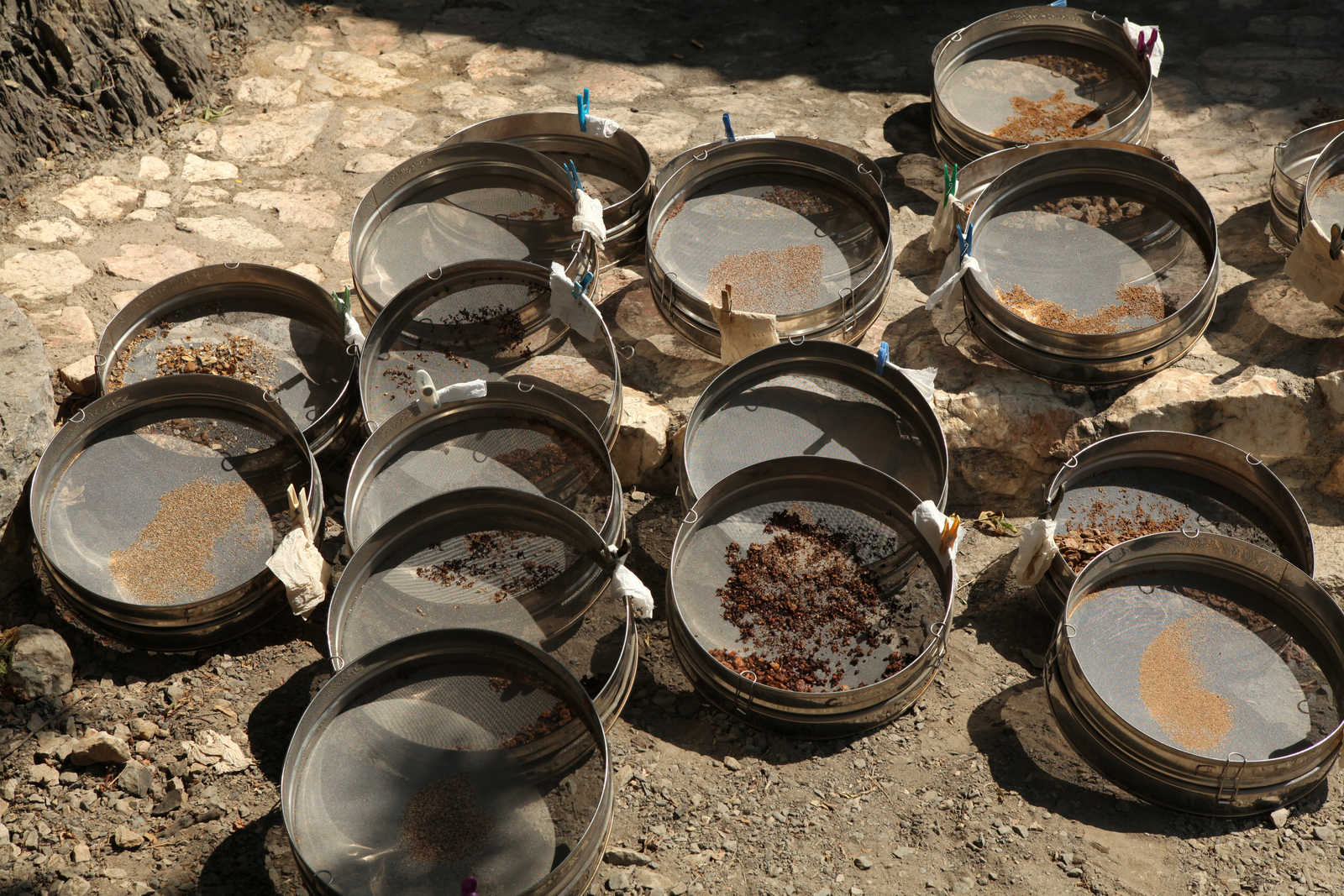 Séchage des tamis. L'Homme de Tautavel.