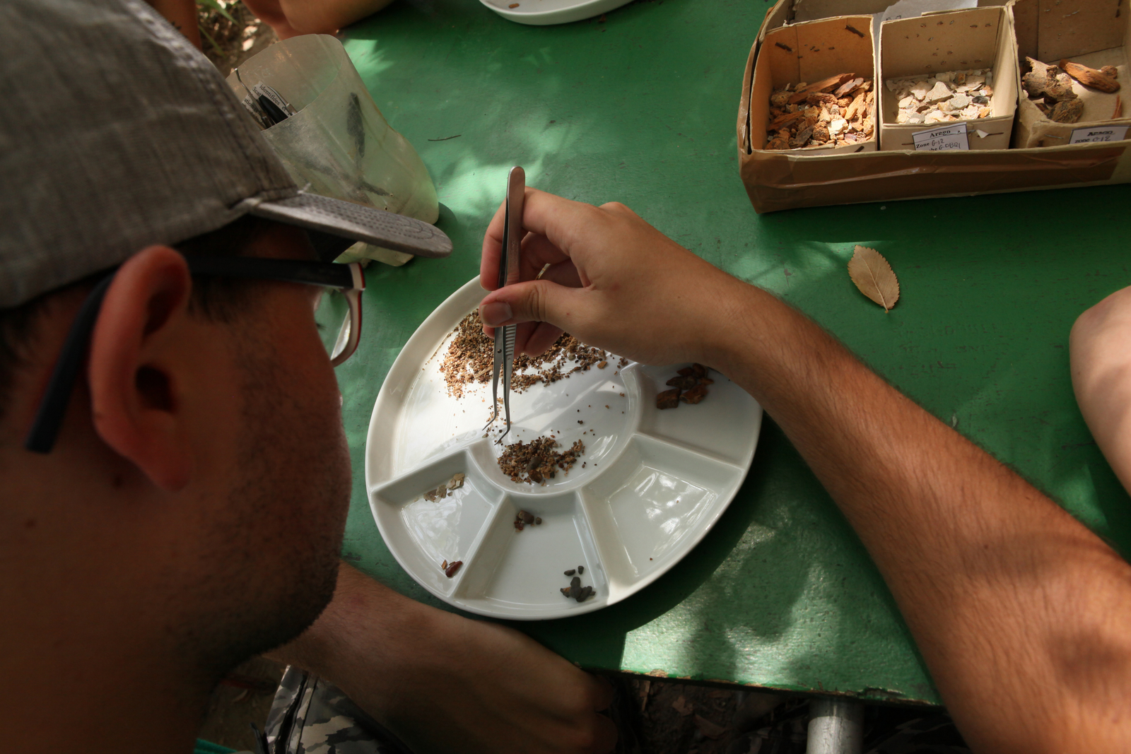 Tri des objets non coordonnés, après tamisage et lavage. L'Homme de Tautavel.