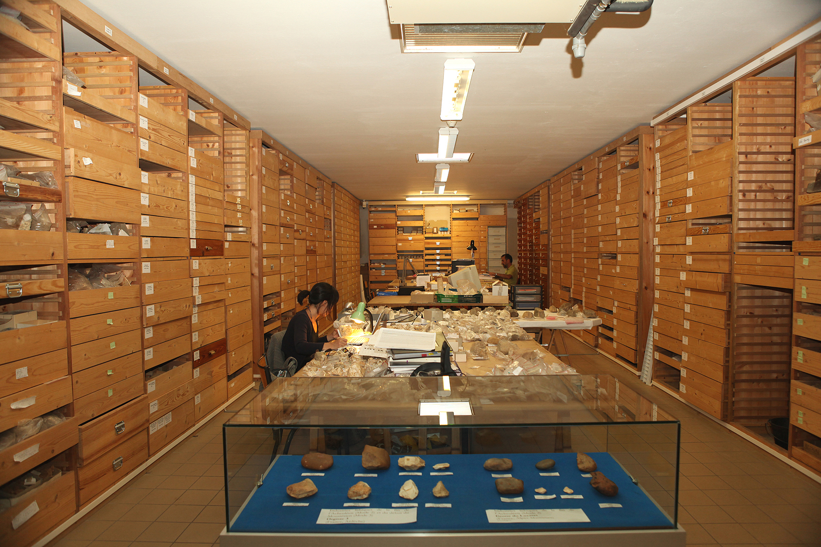 Dépôts de fouille. Laboratoire de paléontologie. L'Homme de Tautavel.