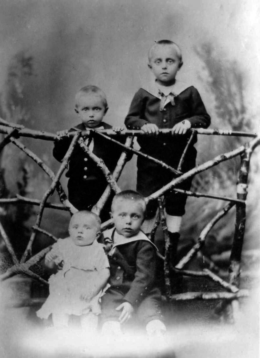  Photo prise vers 1884 des quatre premiers enfants du couple Gerhard et Christine Hütten. De bas en haut et de gauche à droite : Wilhelm (1883-1958), August (1880-1918), Karl (1881-1939 ?) et Hubert (1878-1952) - Hannelore Börger