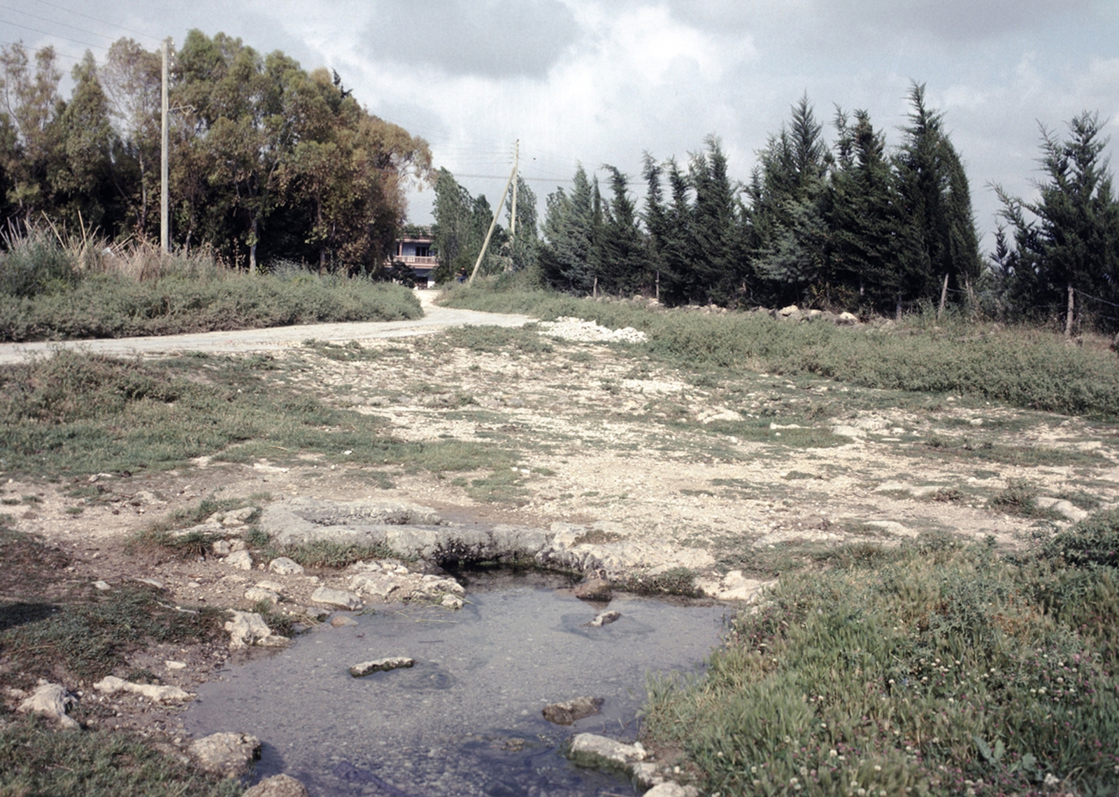 La source de ‘Ayn el-Borj en 1986.