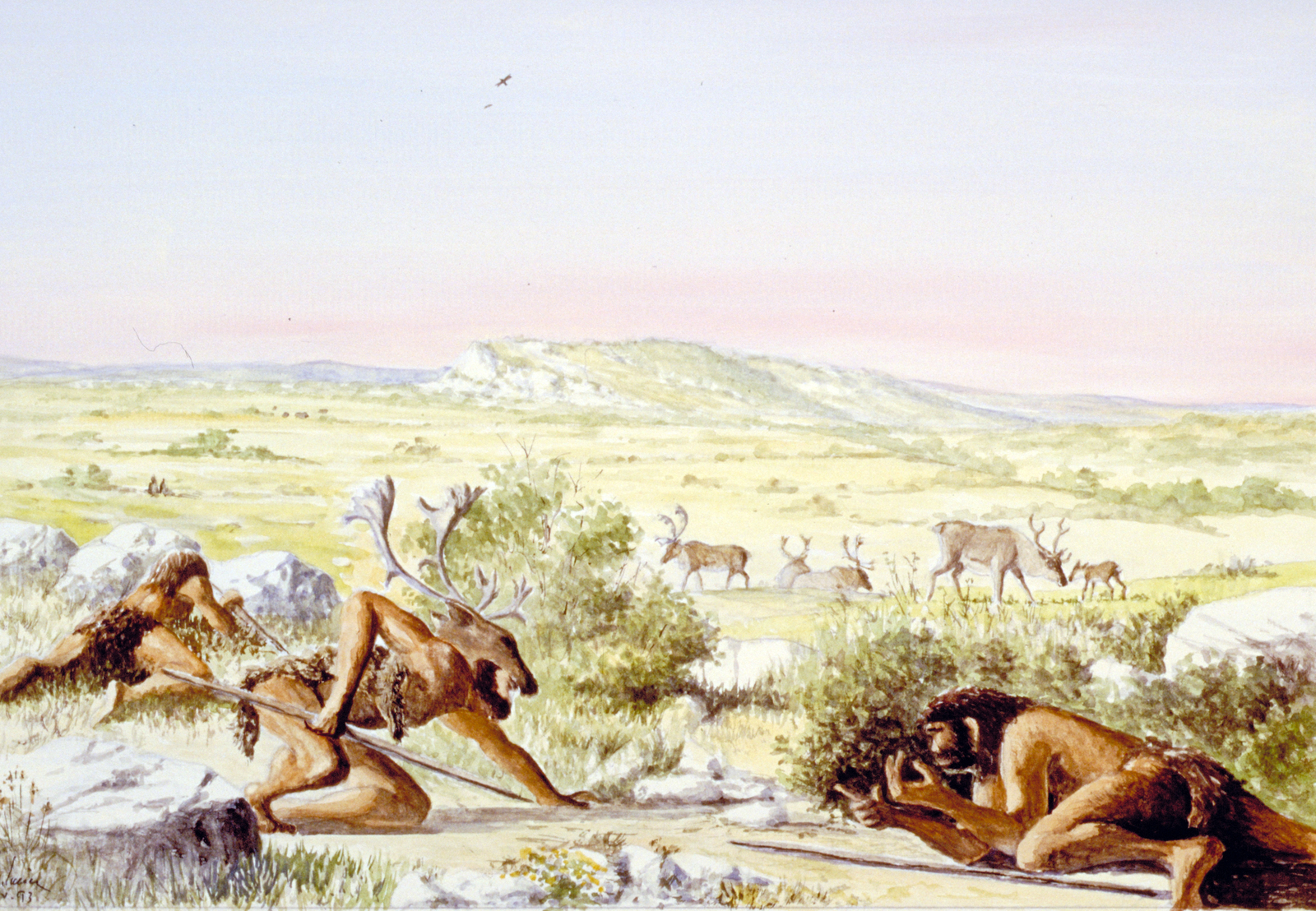 Chasse aux rennes Dessin E. Guerrier.