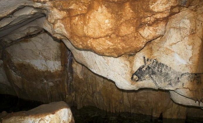 Cheval 1, grotte Cosquer