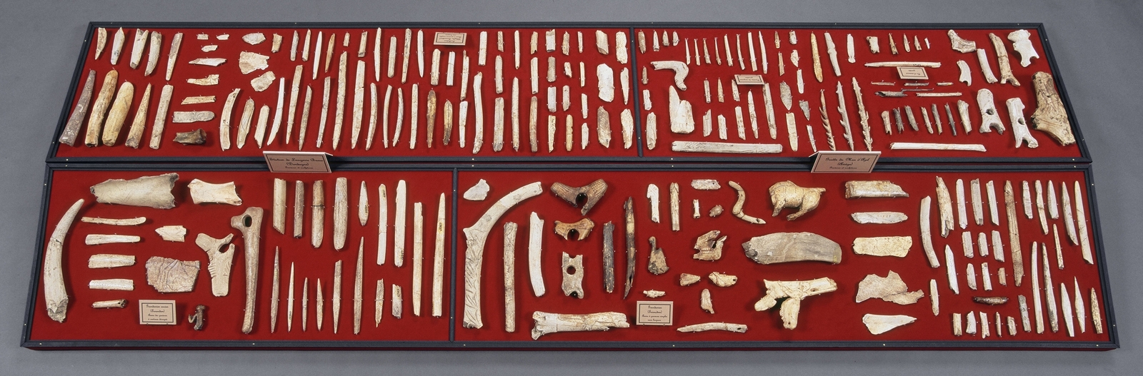 Vitrine-table 2 (ex 3) de la Salle Piette. Musée d'Archéologie nationale. L'Homme de Tautavel.