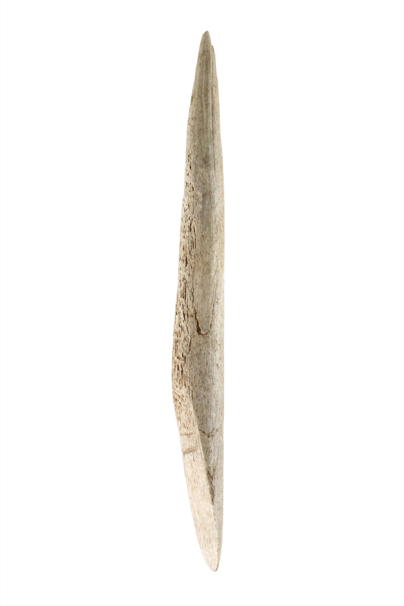 Vitrine Paléolithique supérieur, Chasse et Pêche, n°79. MAN83886. Musée d'archéologie nationale et Domaine national de Saint-Germain-en-Laye. © RMN-Grand Palais (musée d'Archéologie nationale) / Franck Raux