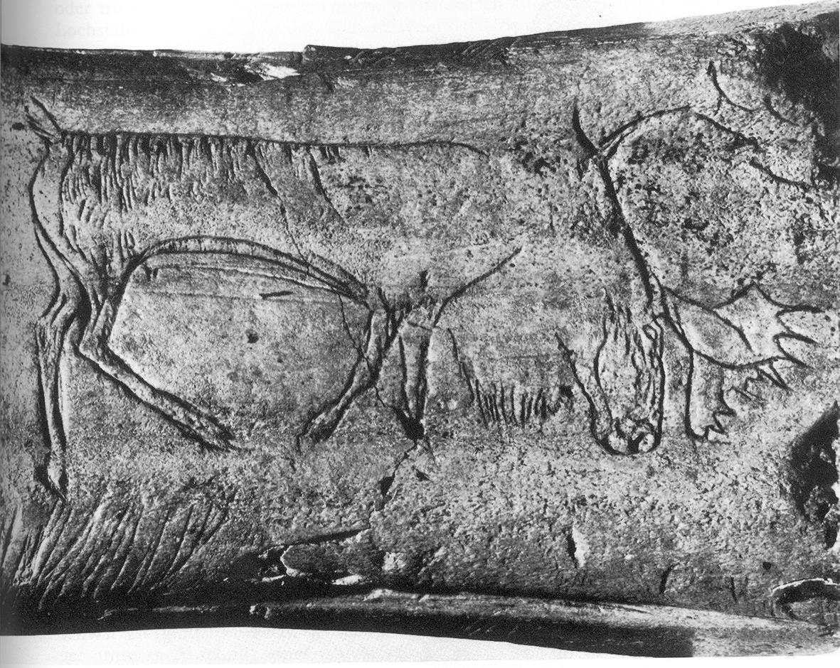 Renne gravé sur un bâton percé (Kesslerloch)