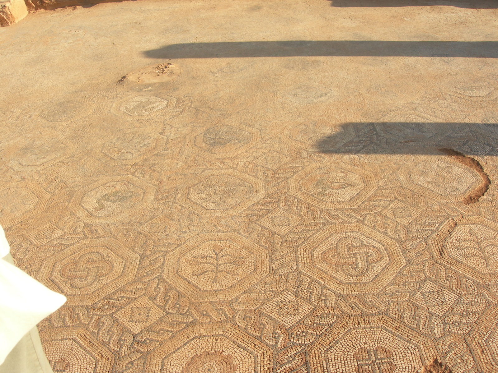 Mosaïque de l'atrium