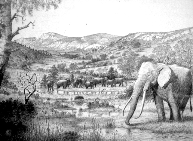 L’éléphant antique Dessin E. Guerrier.