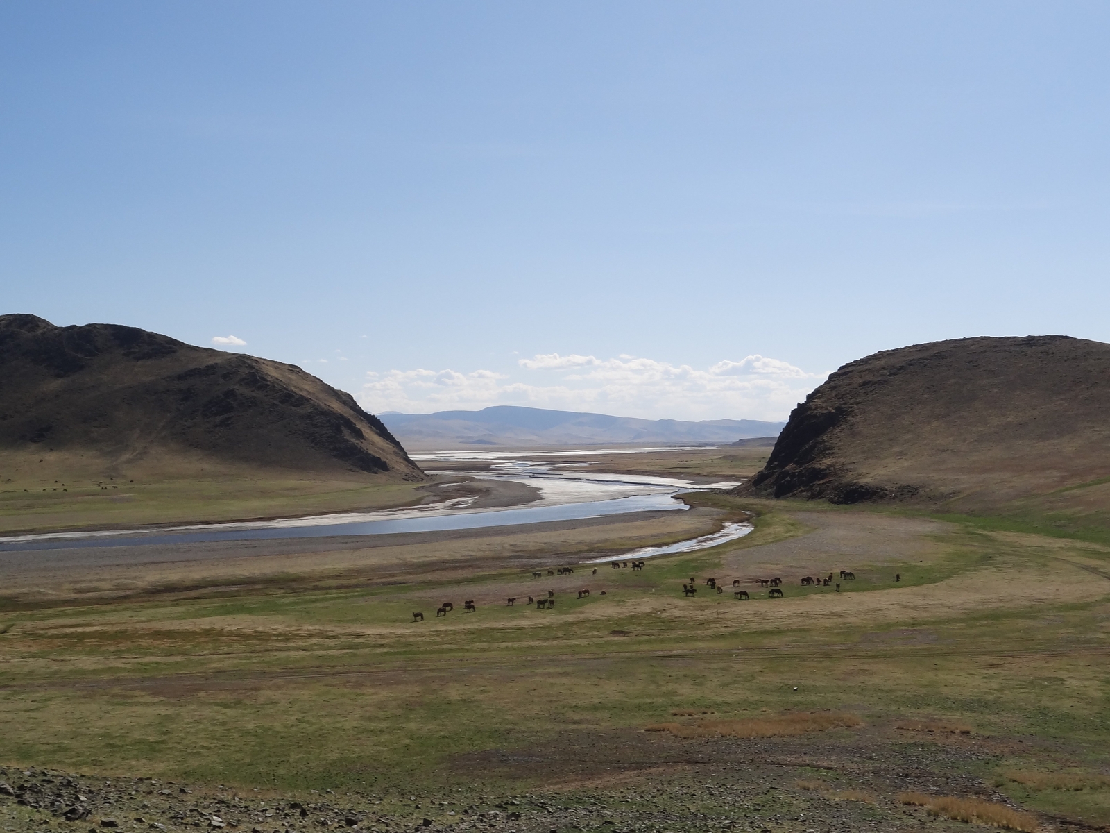 Vue de la vallée de l'Orkhon, en Mongolie, payage proche de ce que pouvait être celui de l'époque magdalénienne avec présence d'un troupeau de chevaux.  Marie de Pananros.