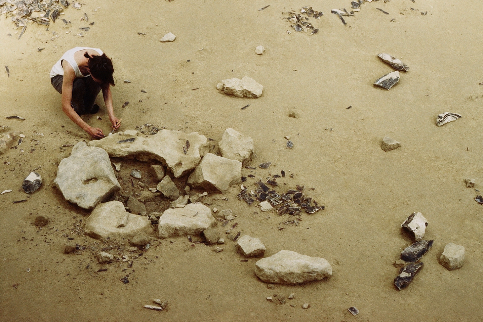 La fouille du foyer D71