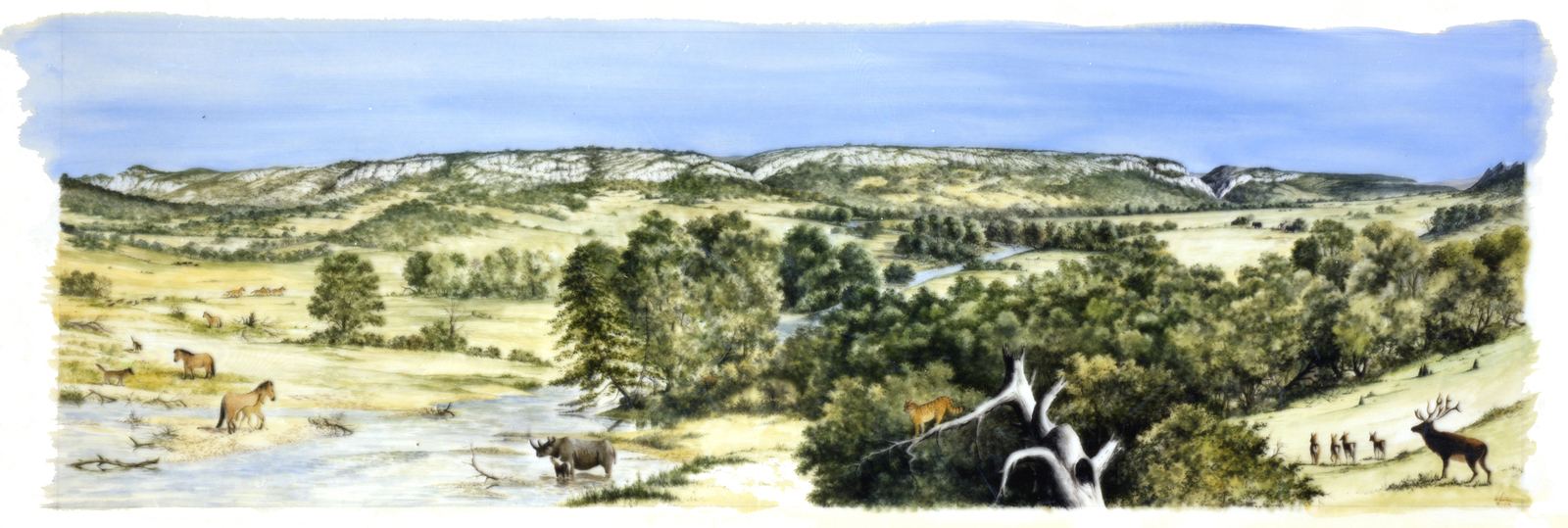 Vallée de Tautavel Dessin E. Guerrier.