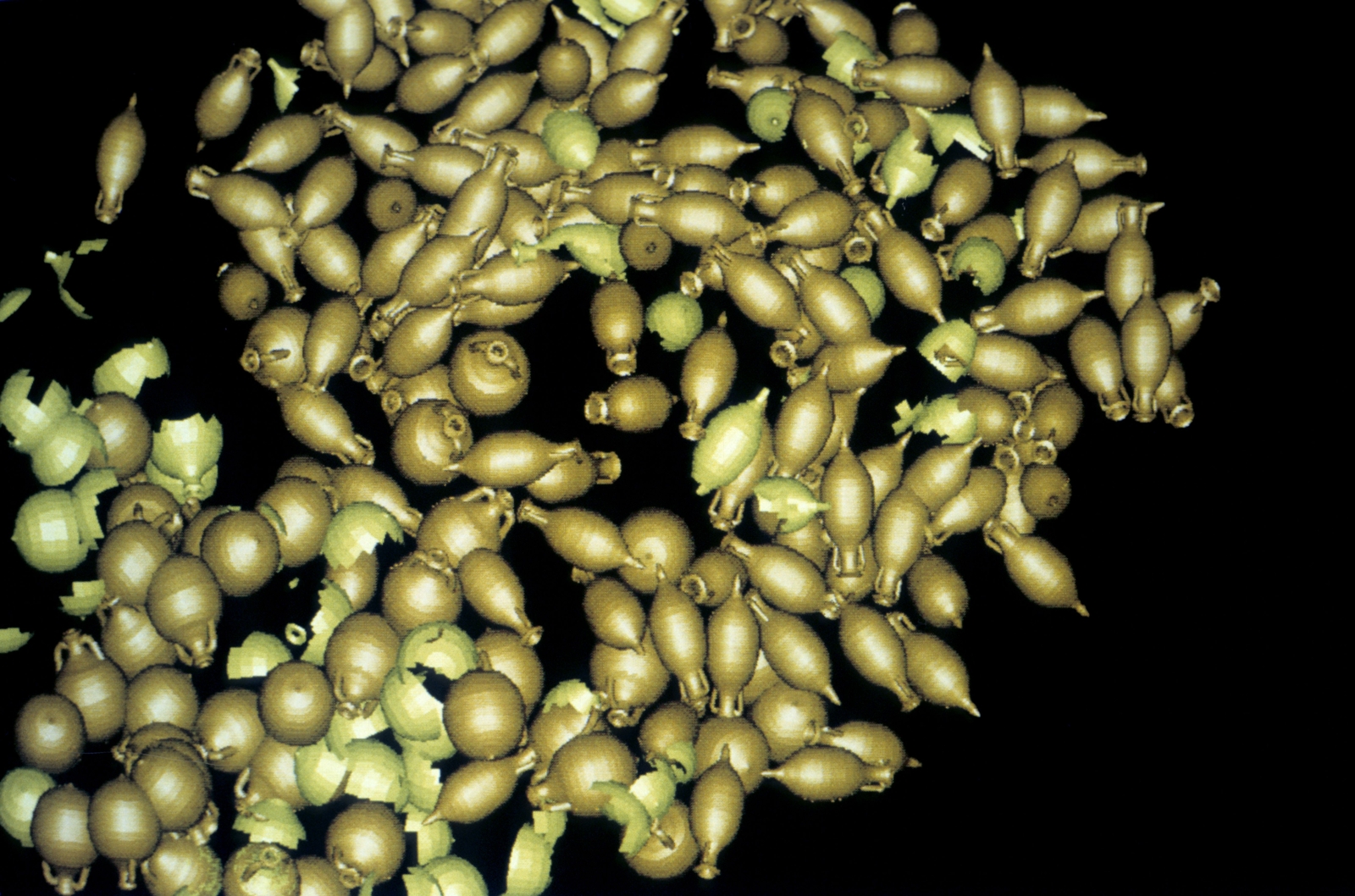 Restitution des amphores découvertes sur une épave en images de synthèse avec texture