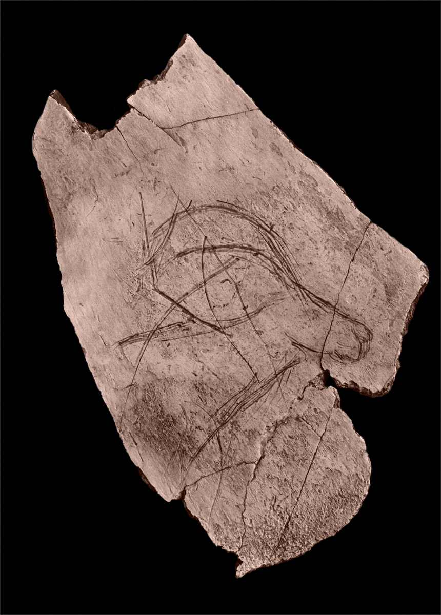 Gravure de bouquetin (Rislisberghöhle)