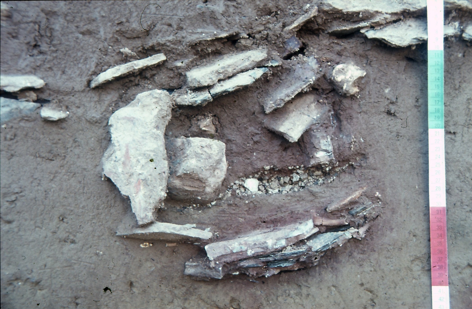 Profil d'une fosse à cuire de l'époque magdalénienne de Gönnersdorf (Neuwied, Allemagne). Abris sculptés de la préhistoire.